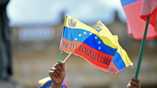 "Por fin": la di&aacute;spora venezolana celebra ca&iacute;da de Maduro