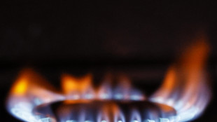 Il gas rimbalza con forza in avvio ad Amsterdam (+6,3%)