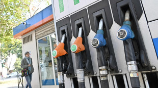 Mimit, prezzo benzina in lieve calo a 2,037 euro, gasolio stabile
