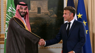 Saudi Arabia to invest $7 bn in theme parks near Paris: French presidency 