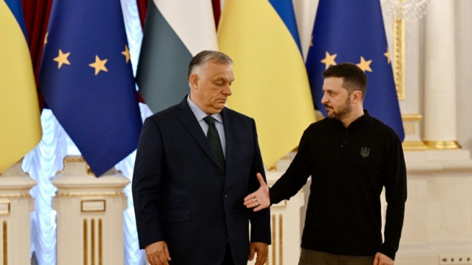 'Really stuck': Ukraine's EU accession drive stumbles