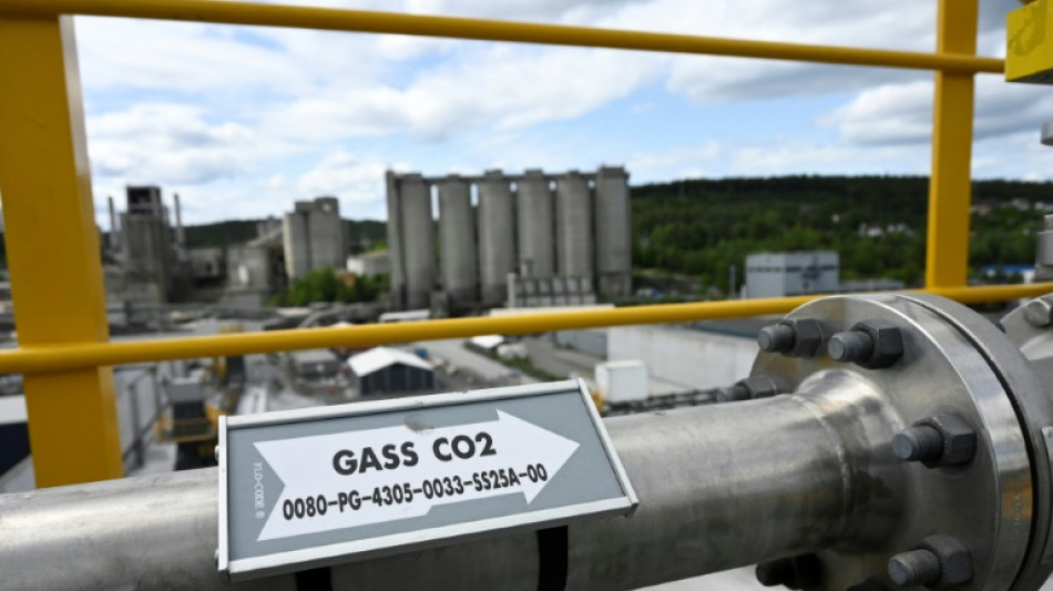 Treat carbon storage like 'scarce resource': scientists