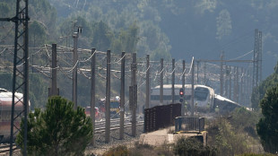 Catastrophe ferroviaire en Espagne: d&eacute;but du deuil national, la famille royale attendue sur place