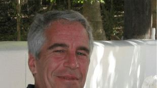 Pro-Kremlin accounts using Epstein files to push conspiracy: AFP research