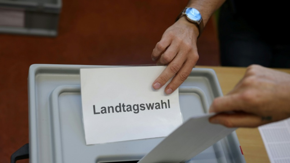 Mittelalte Menschen und M&auml;nner in Sachsen-Anhalt besonders oft AfD-W&auml;hler