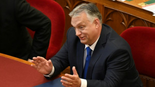 Pour les d&eacute;put&eacute;s europ&eacute;ens, la Hongrie n'est plus une vraie d&eacute;mocratie 